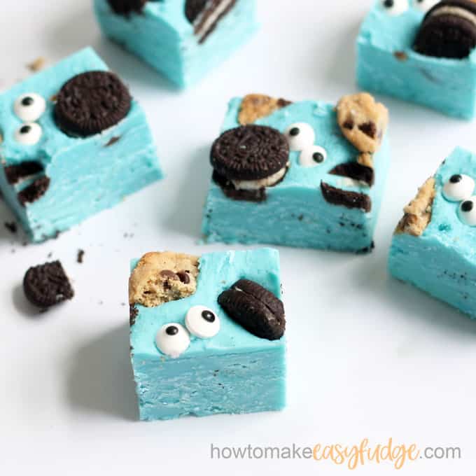 cookie monster fudge photo with white background 