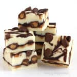moose tracks fudge with vanilla, chocolate, and peanut butter cups