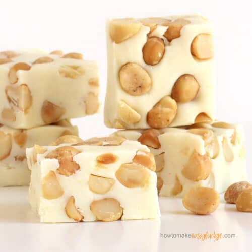 White chocolate macadamia nut fudge topped with lots of macadamia nuts.